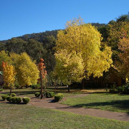 Willowlake Cottages Howqua Bagian luar foto