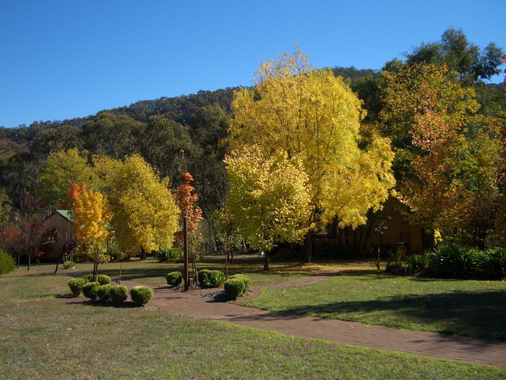 Willowlake Cottages Howqua Bagian luar foto